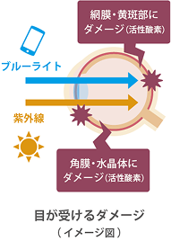 目が受けるダメージの図